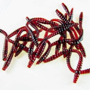 Bloodworm Blutwurm Rotwurm