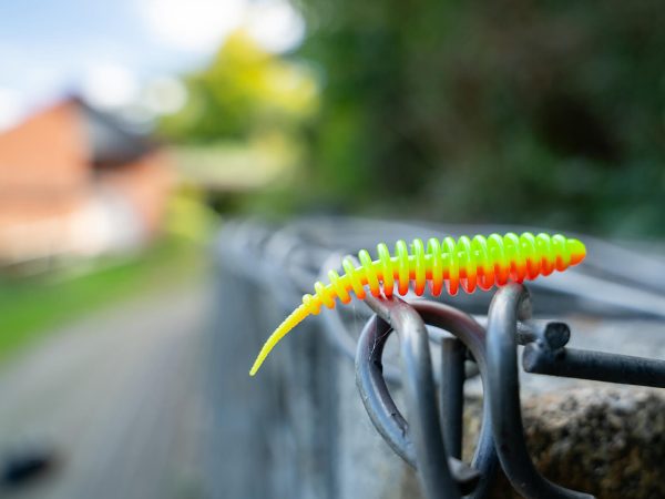 Trout Master Worm 65 UV-Aktiv 6,5cm Forelle a yellow and orange worm on a metal railing