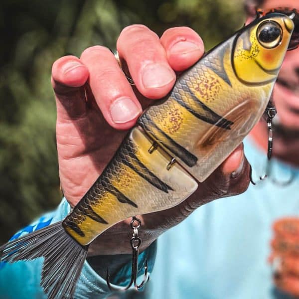 SPRO KGB Chad Shad 180 Glidebait Hechtmagnet im Detail